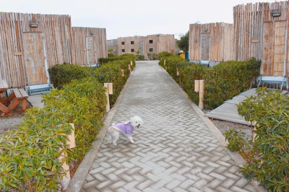 Sole Paracas Exterior photo
